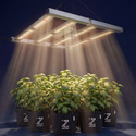 Phytonaut LED-vækstlys 480 W (Zamnesia)