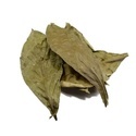 Chacruna (Psychotria viridis) 50 gram