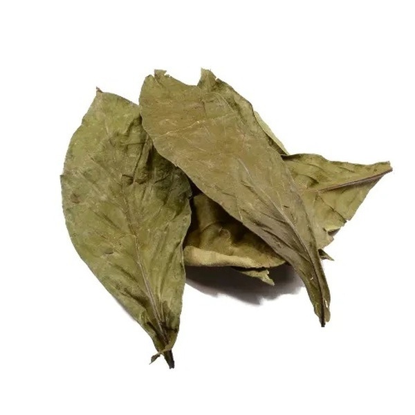 Chacruna (Psychotria viridis) 50 gram