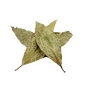 Chaliponga (Diplopterys cabrerana) 20 gram