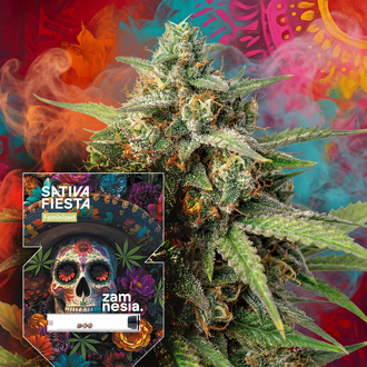 Sativa Fiesta (Zamnesia Seeds) Feminiserede