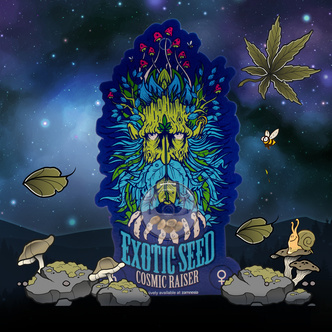 Cosmic Raiser (Exotic Seed) feminiserede cannabisfr&oslash;