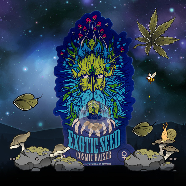 Cosmic Raiser (Exotic Seed) Feminiserede