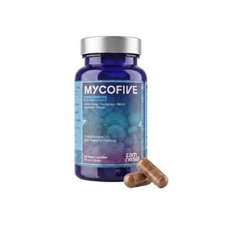 MycoFive Svampekapsler (Zamnesia)