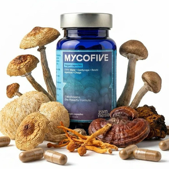 MycoFive Svampekapsler (Zamnesia)