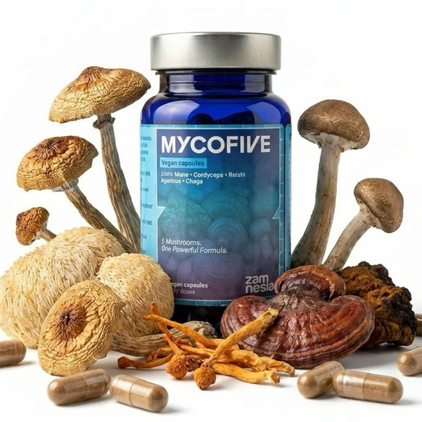 MycoFive Svampekapsler (Zamnesia)