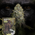 Gorilla Piss Fast Version (Zamnesia Seeds) Feminiserede