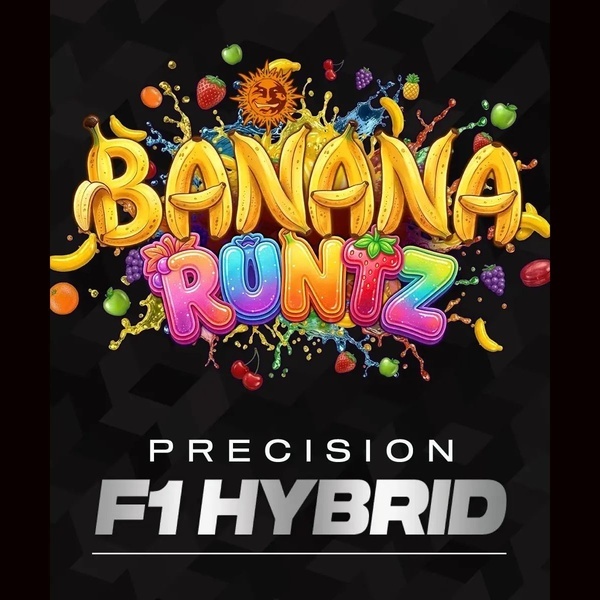 Banana Runtz F1 (Barney's Farm) Feminiserede