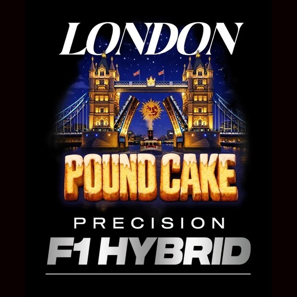 London Pound Cake F1 (Barney's Farm) Feminiserede