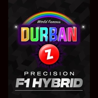Durban Z F1 (Barney's Farm) feminiserede cannabisfr&oslash;