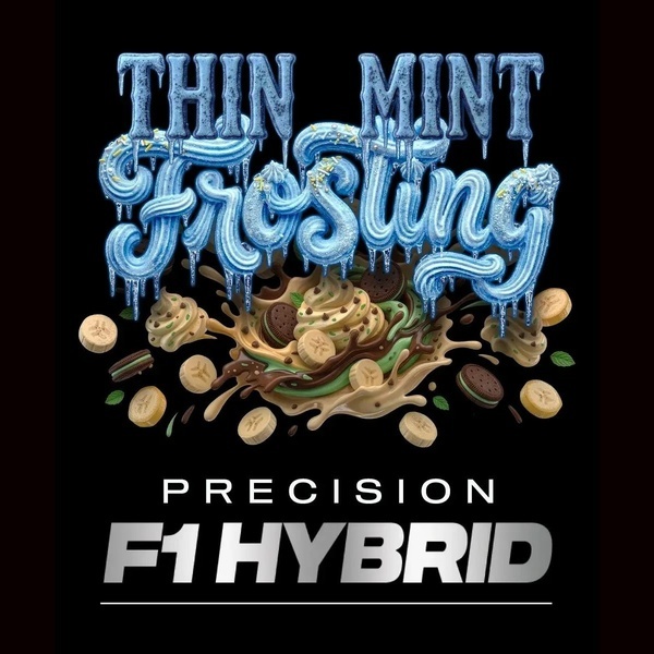 Thin Mint Frosting F1 (Barney's Farm) Feminiserede