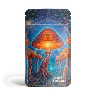 The Breakthrough Z-Lock Stash Bag (Small)