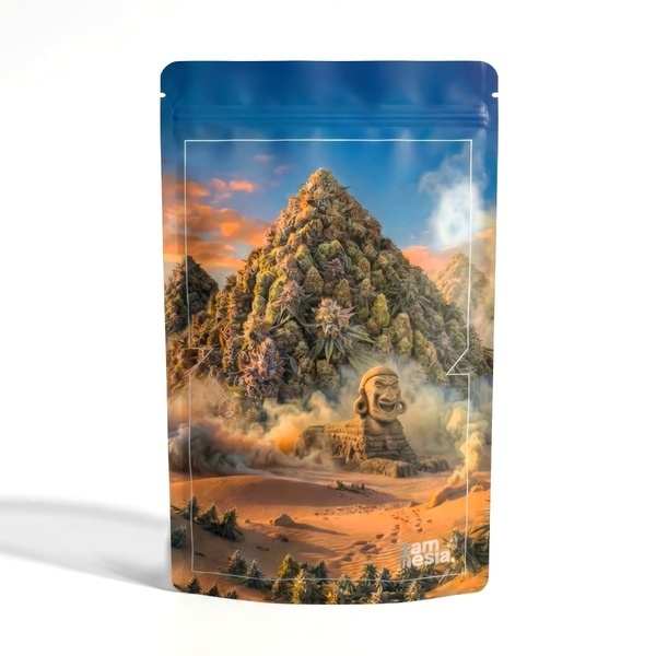 Highly Iconic Z-Lock Stash Bag (Extra Large)