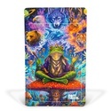 Psychedelic Dreams Z-Lock Stashpose (Ekstra Stor)
