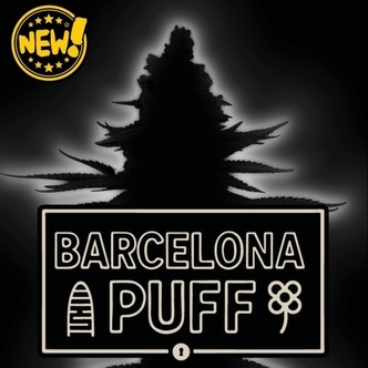 Barcelona Puff Auto (Seedstockers) Feminiserede