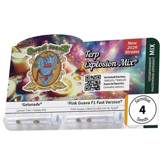 Terp Explosion Mix (Sweet Seeds) Feminiserede