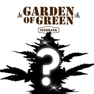 CBD Mystery-fr&oslash; 1 (Garden of Green)