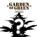 CBD Mystery-frø 1 (Garden of Green)