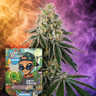Cap Junky Autoflower (Zamnesia Seeds) Feminiserede