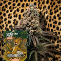 Cheetah Piss Autoflower (Zamnesia Seeds) Feminiserede