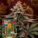 Khalifa Kush Autoflower (Zamnesia Seeds) Feminiserede
