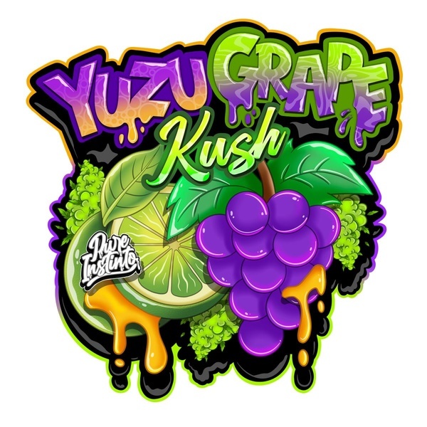 Yuzu Grape Kush (Pure Instinto) Feminiserede
