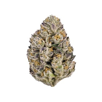 Lemon Cherry Runtz (Fast Buds) feminiseret