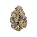 Lemon Cherry Runtz (Fast Buds) feminiseret