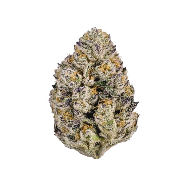 Lemon Cherry Runtz (Fast Buds) feminiseret