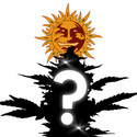 Feminiserede Mysteriefrø 3 (Barney's Farm)