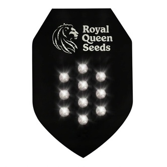 Autoflower Mystisk Fr&oslash; 10 (Royal Queen Seeds)