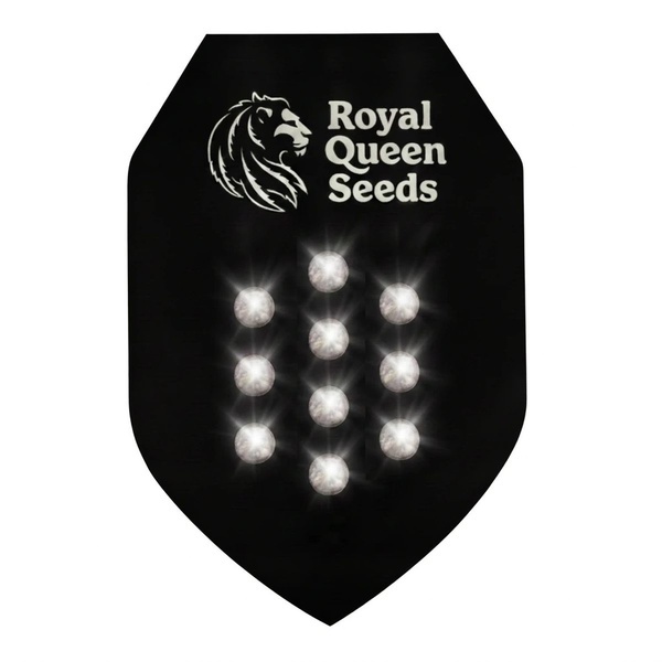 Autoflower Mysteriefrø 10 (Royal Queen Seeds)