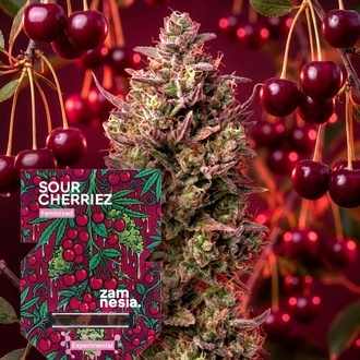 Sour Cherriez (Zamnesia Seeds) Feminiserede