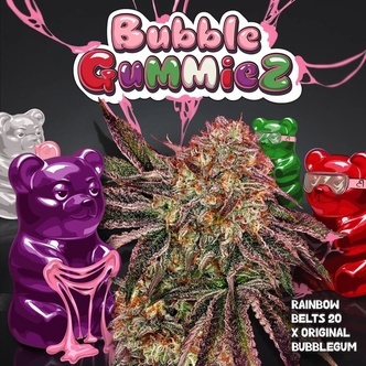 Bubblegummiez (T.H.Seeds) Feminiserede