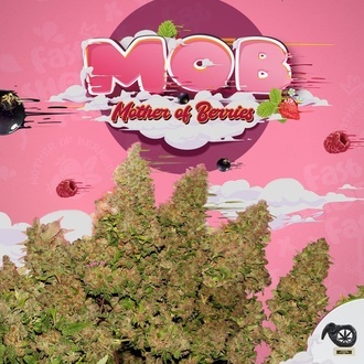 MOB (T.H. Seeds) Feminiseret