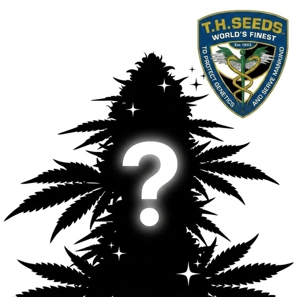 Autoflower Mysteriefrø 2 (T.H. Seeds)