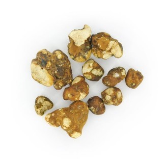Tampanensis Magiske trøfler