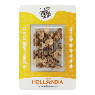 Hollandia Magiske tr&oslash;fler