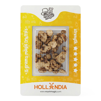 Hollandia Magiske tr&oslash;fler