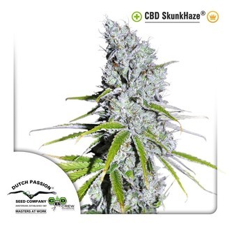 CBD Skunk Haze (Dutch Passion) Feminiserede