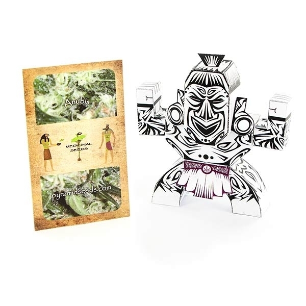 Anubis (Pyramid Seeds) Feminiserede