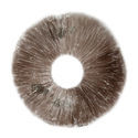 Sporeaftryk Psilocybe cubensis B+