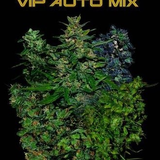 VIP Auto Mix (VIP Seeds) Feminiserede