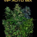 VIP Auto Mix (VIP Seeds) Feminiserede