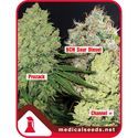 Kollektion 1 (Medical Seeds) Feminiserede