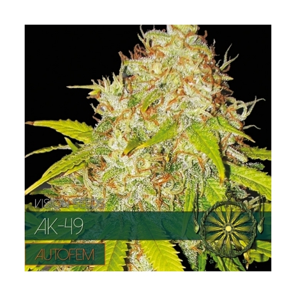 AK-49 Autoflowering (Vision Seeds) Feminiserede