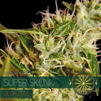 Super Skunk Autoflowering (Vision Seeds) Feminiserede