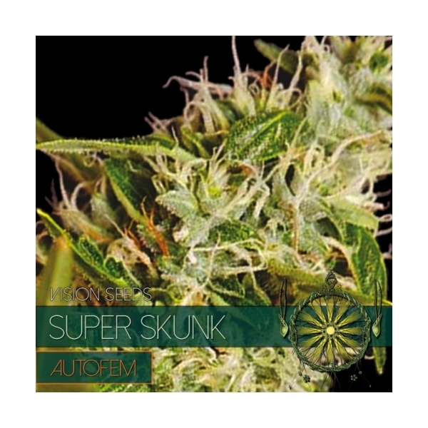 Super Skunk Autoflowering (Vision Seeds) Feminiserede