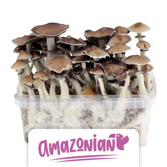 Zamnesia Classic grow kit 'PES Amazonian'