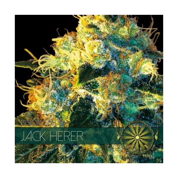 Jack Herer (Vision Seeds) Feminiserede